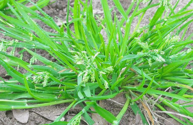 1000x650_blog_afbeelding_header