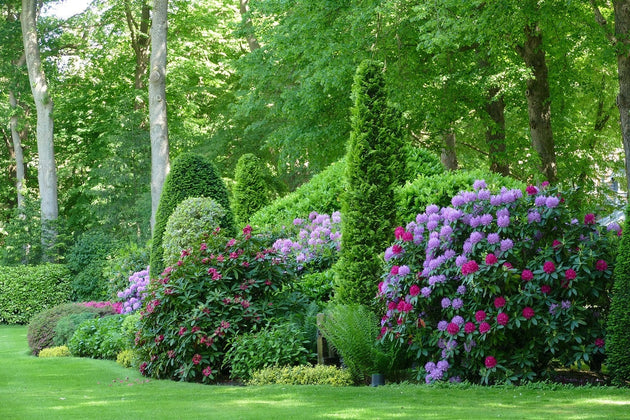Beplantingsplan tuin