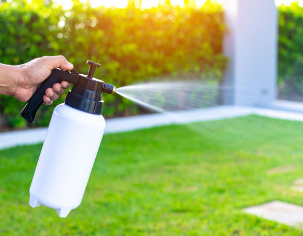 Comment utiliser les nématodes ?