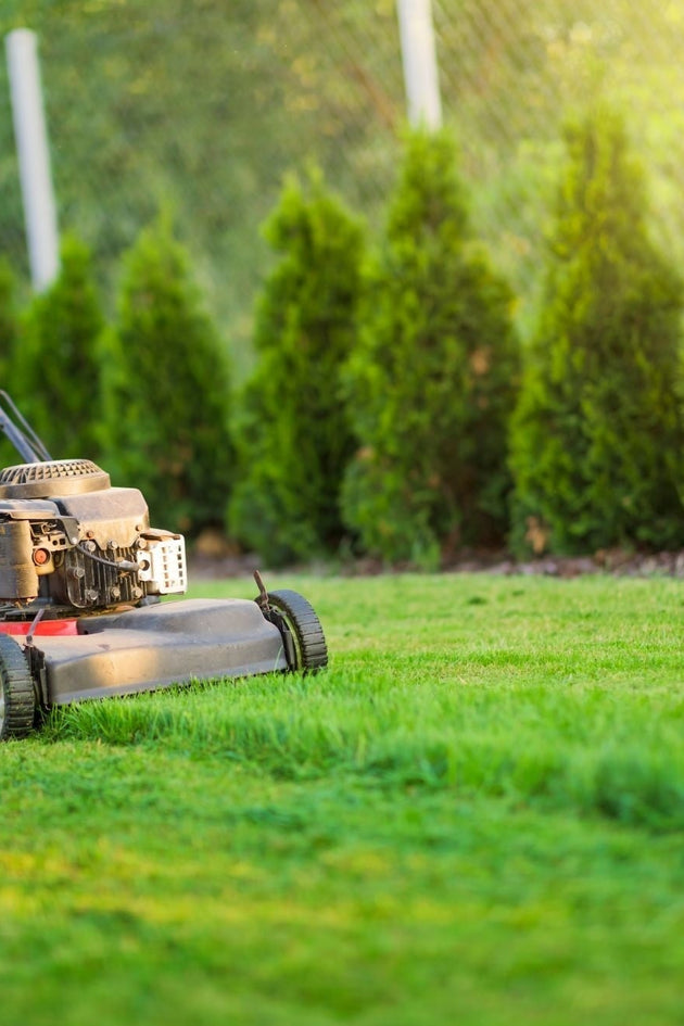 blog-hoe-grasmaaien