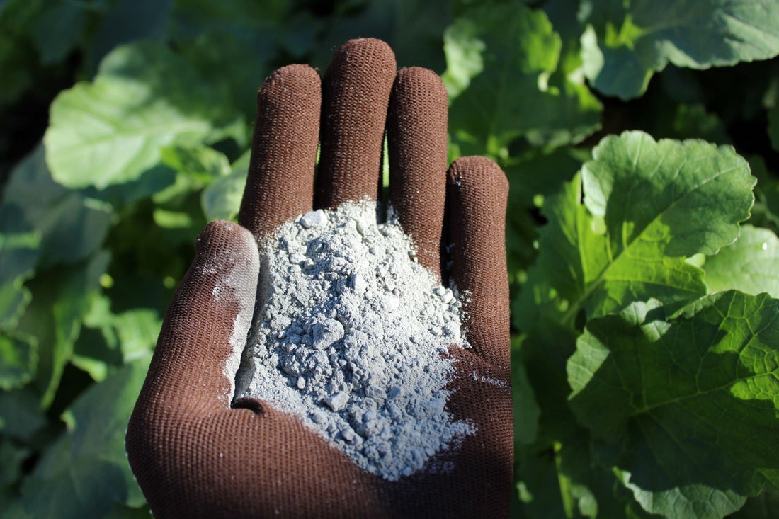 blog-lavameel-bodemverbeteraar-en-meststof