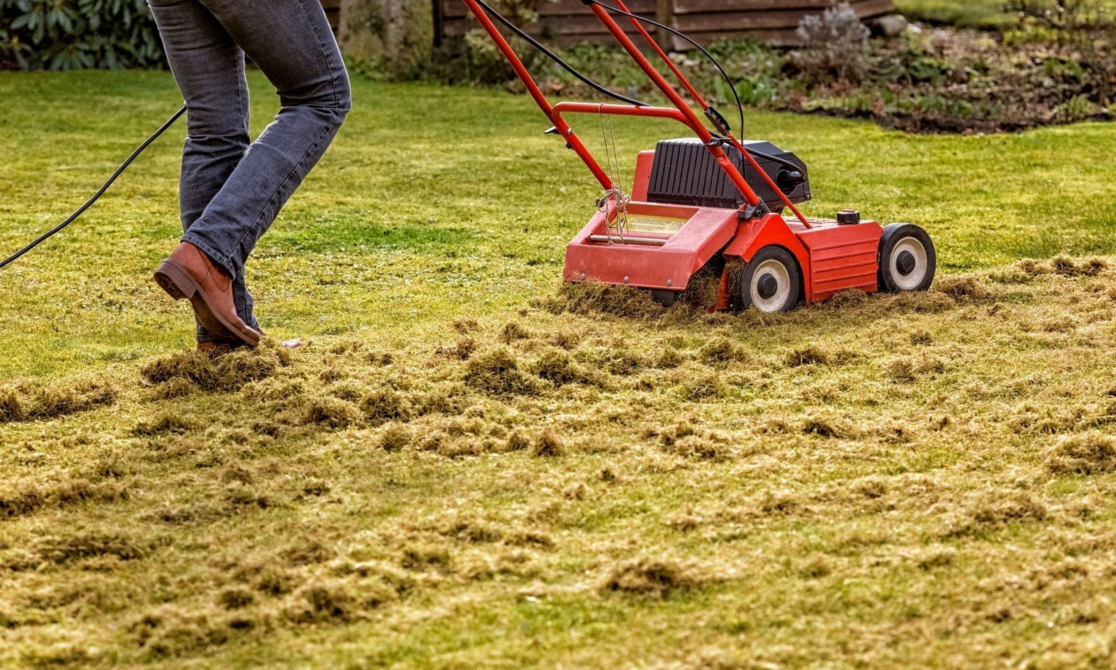 Quand et comment scarifier votre gazon ?