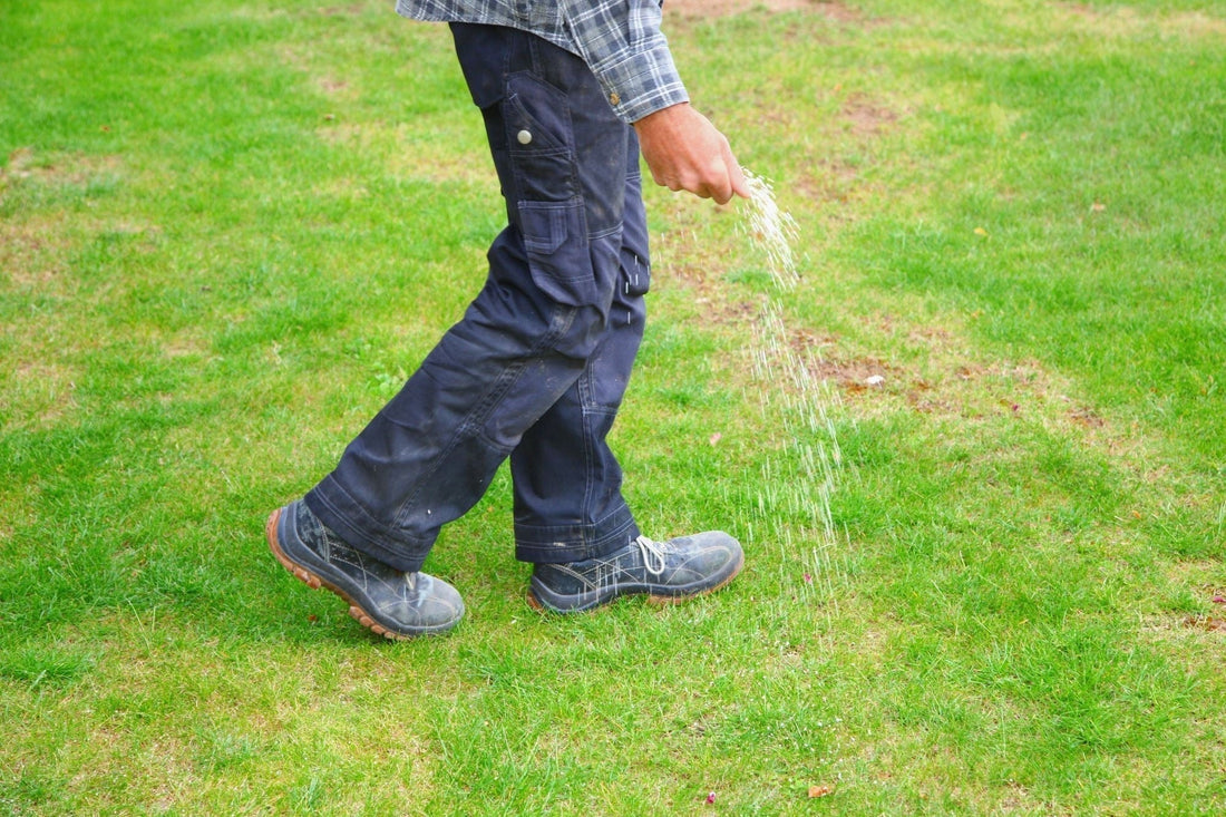 blog-wanneer-kalk-strooien-op-gazon