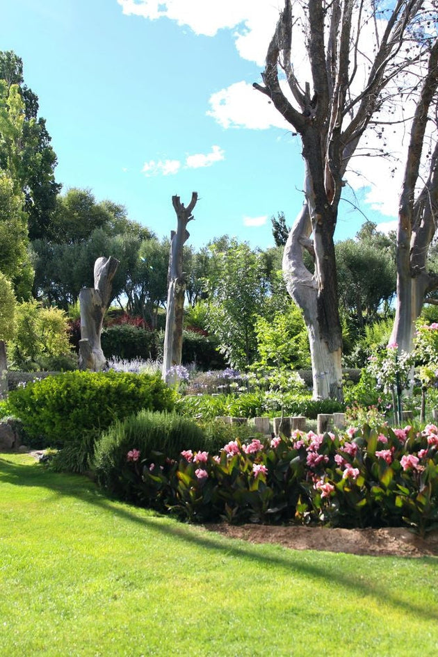 blog-wat-is-beter-koemest-kunstmest