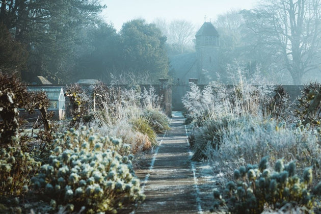 blog-zaaien-in-de-winter