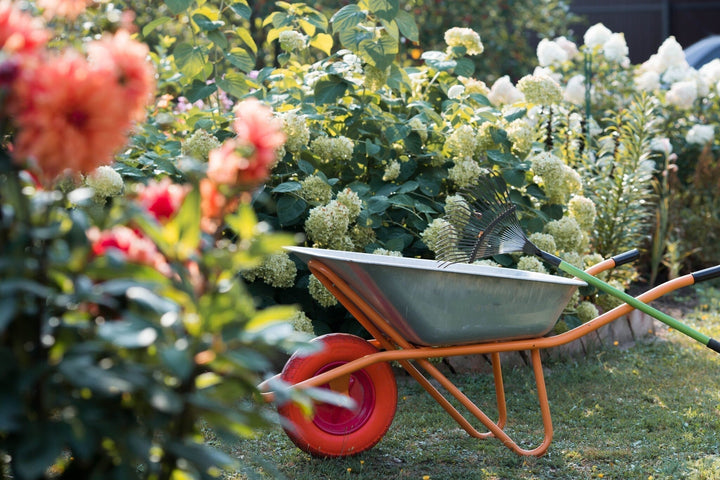 Calendrier du jardinage en septembre