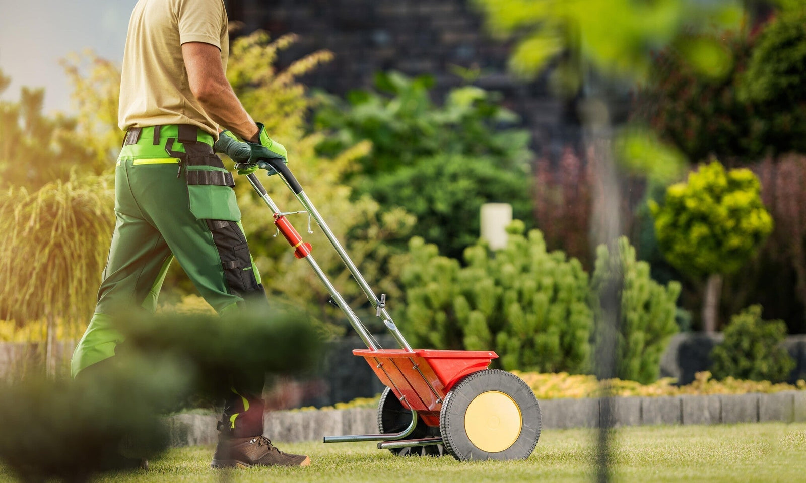 Comment fertiliser la pelouse ?