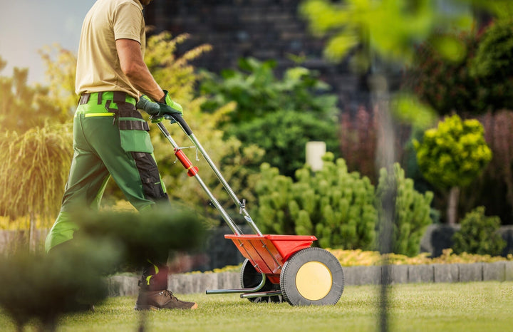 Comment fertiliser la pelouse ?