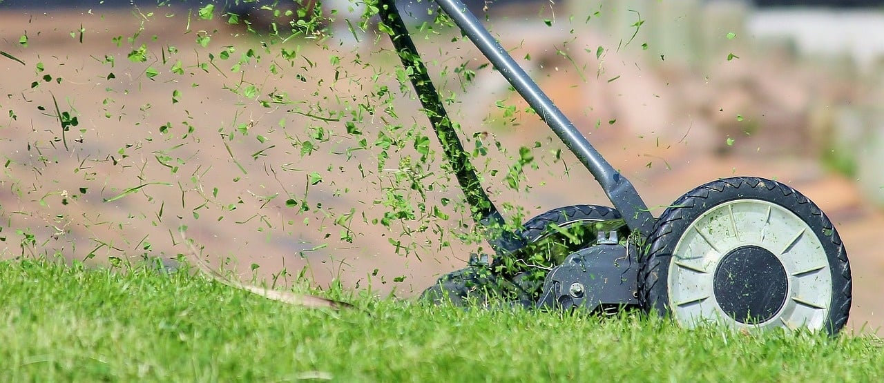 Paillage de l'herbe