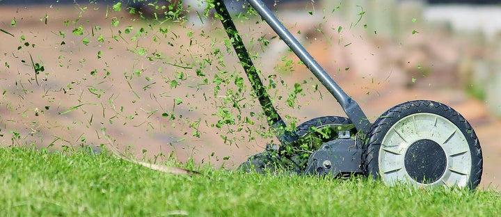 Paillage de l'herbe