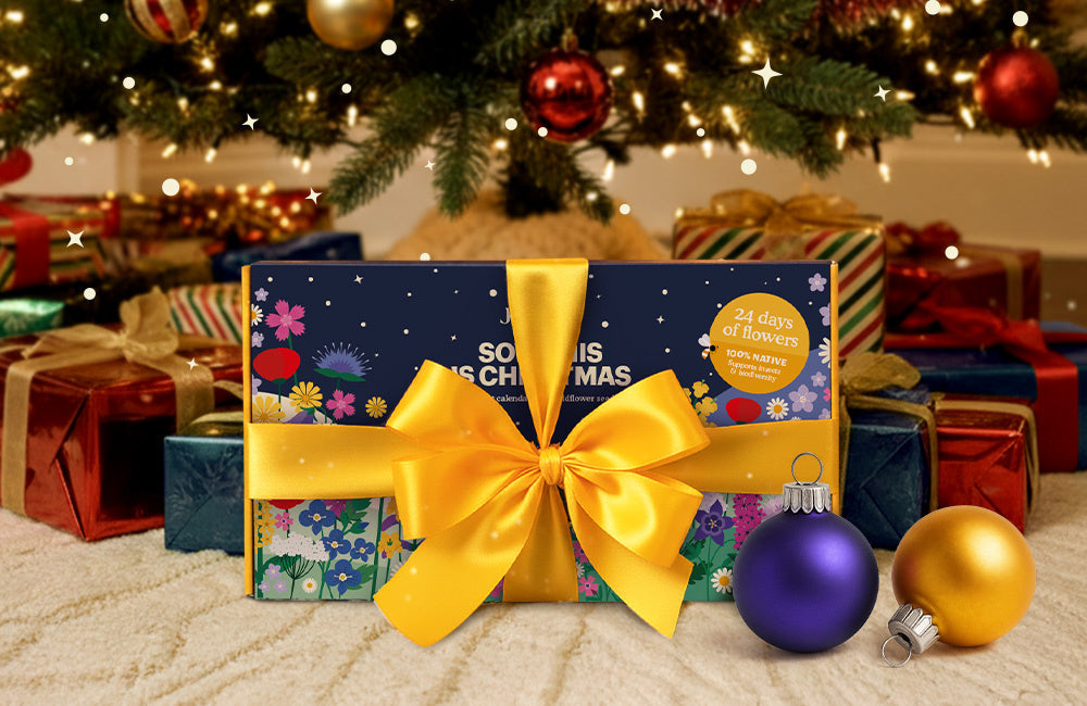 Joyfields-Advent-Blog