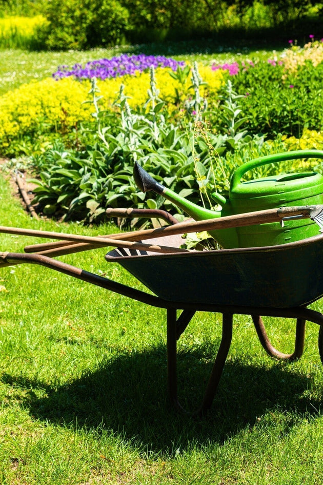 Must-have tuingereedschappen voor elke tuinier