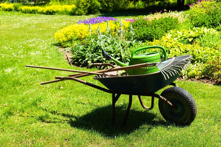 Les outils de jardinage indispensables à tout jardinier