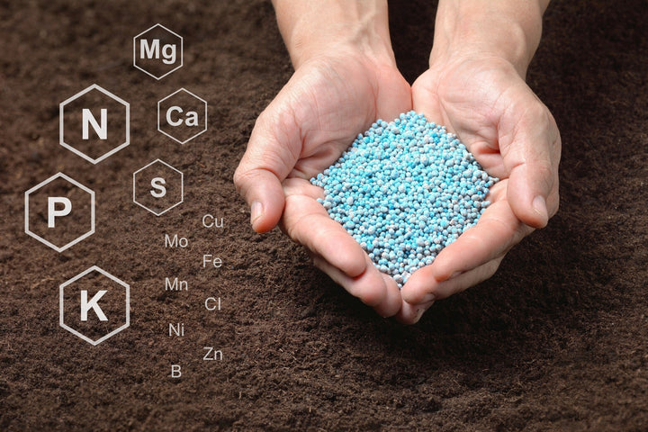 L'engrais en détail