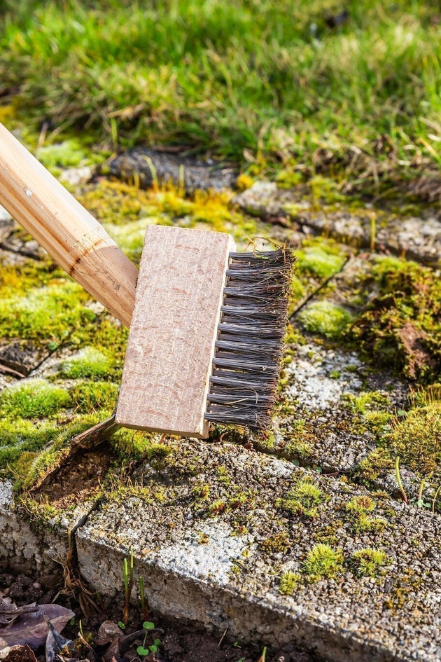 Onkruid en mos voorkomen en bestrijden