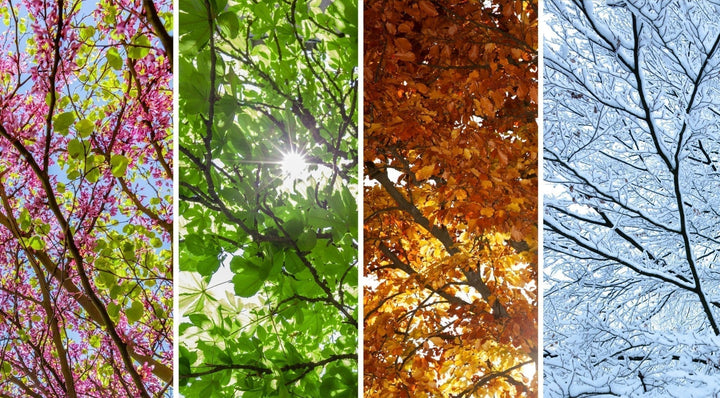 Fertilisation saisonnière