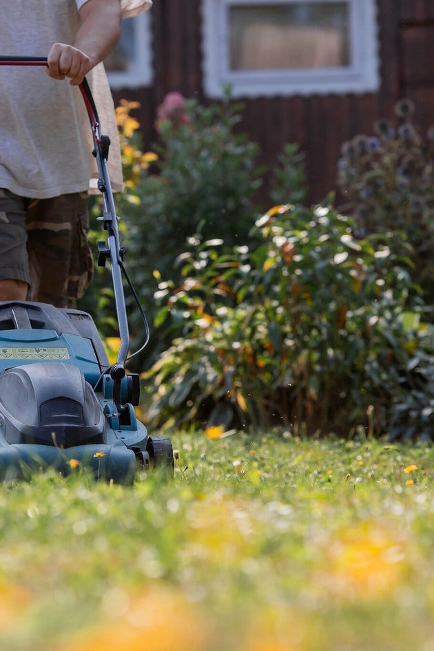 shutterstock_2251027263