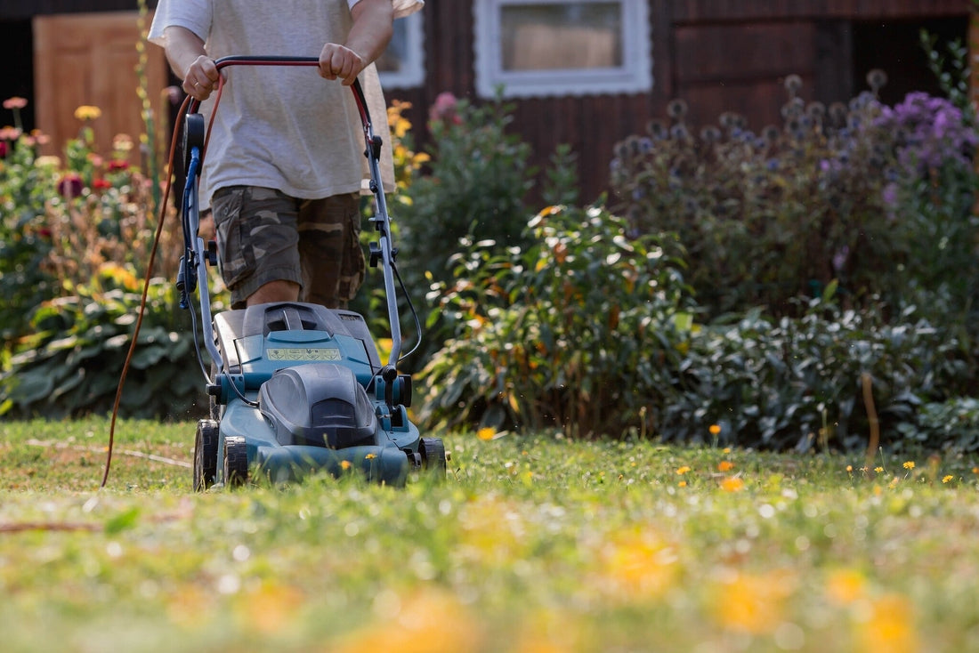 shutterstock_2251027263