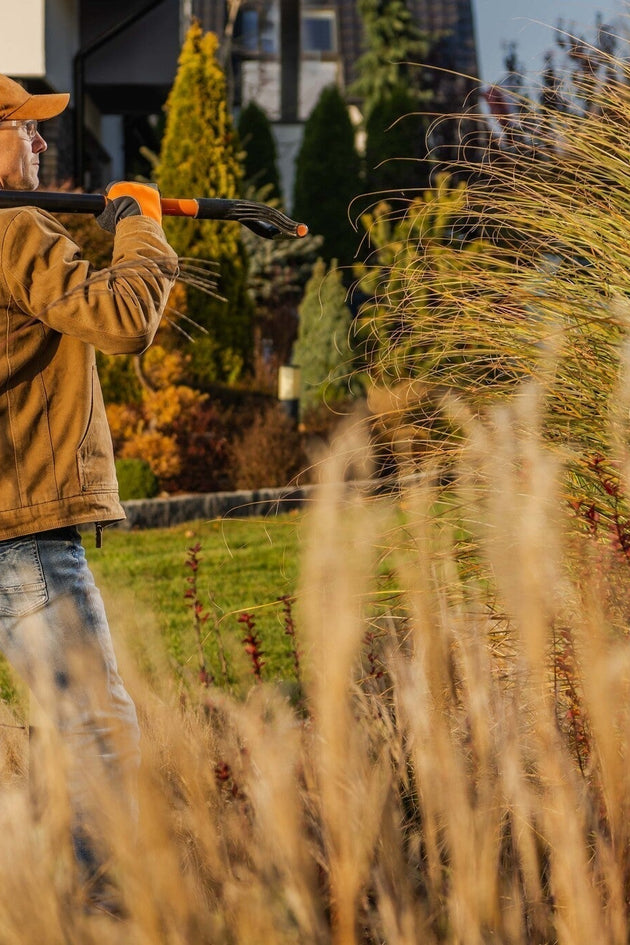 Siergras snoeien wanneer en hoe