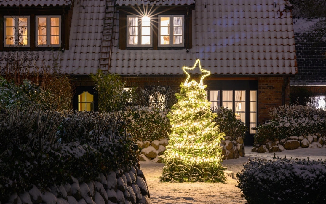 Tuinkalender december