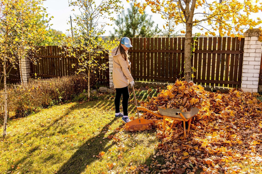 Tuinkalender november