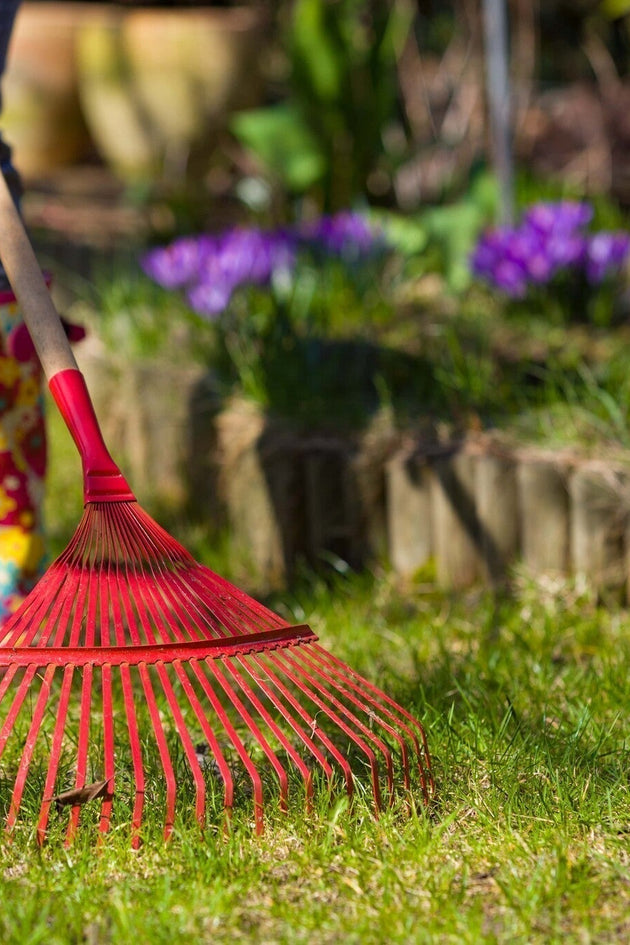 Voorjaar tuin