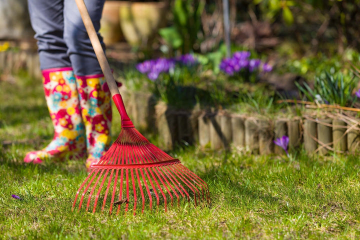 Comment entretenir son jardin au printemps ?