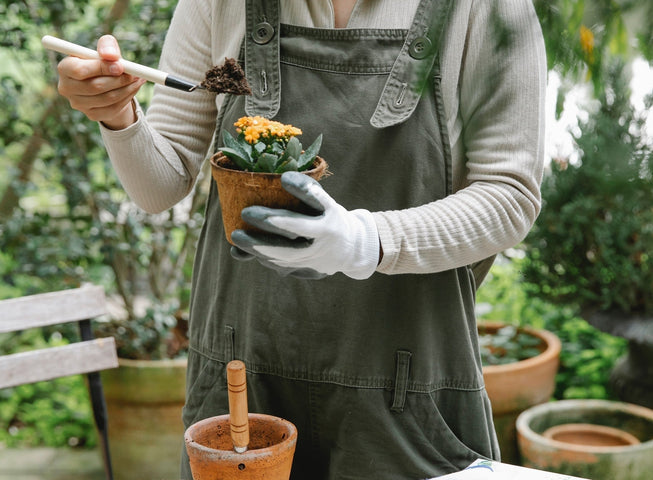 Calendrier des semis de fleurs