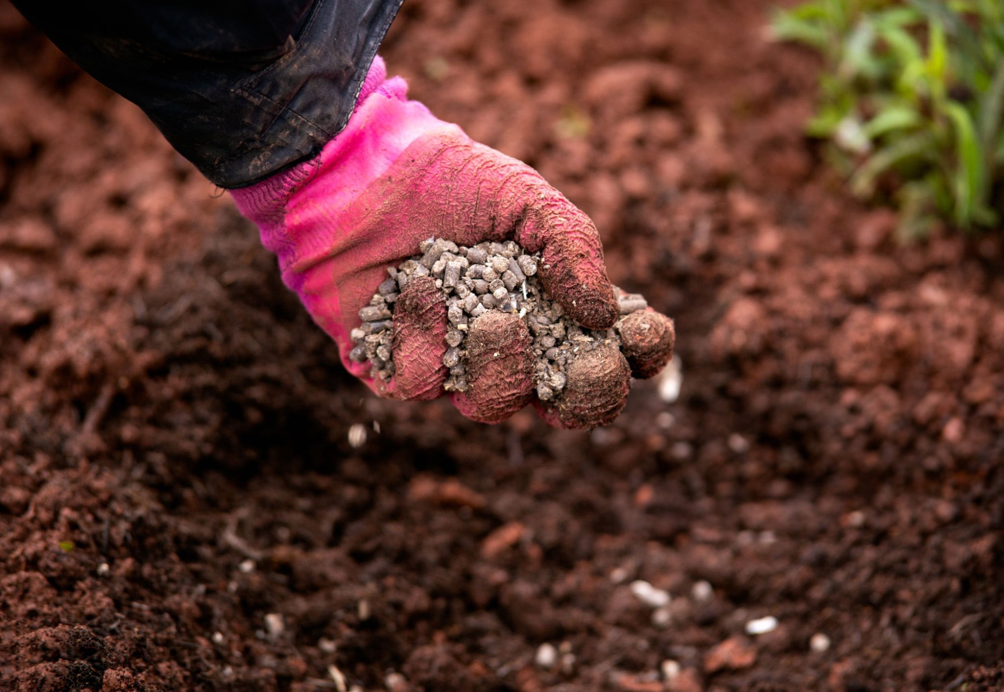 Organische meststoffen