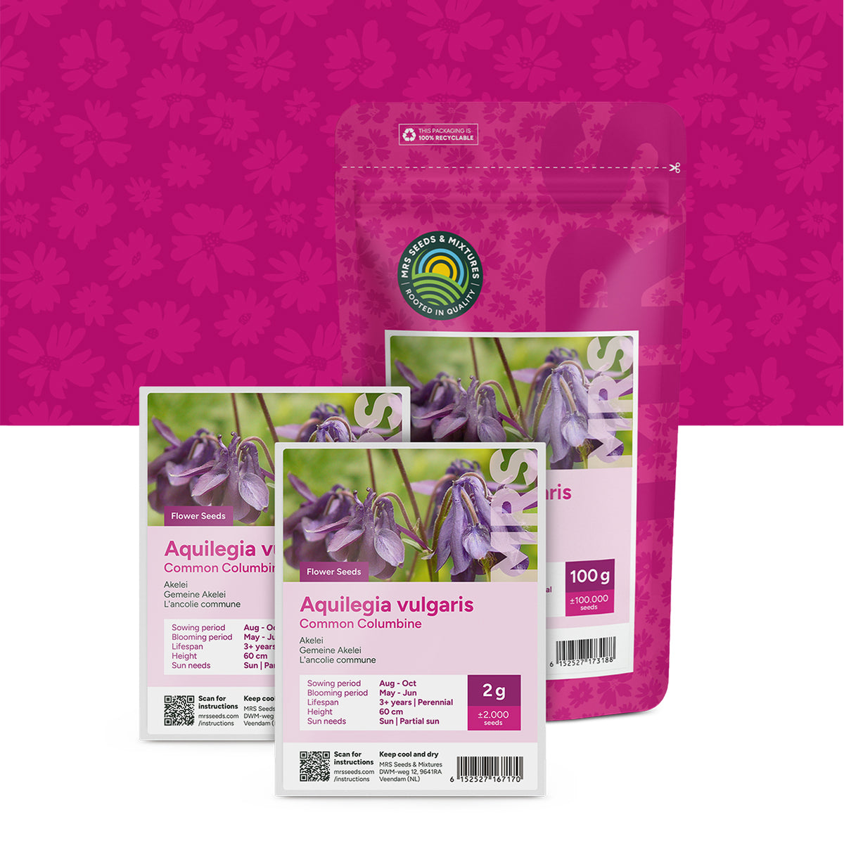 Ancolie – Aquilegia vulgaris