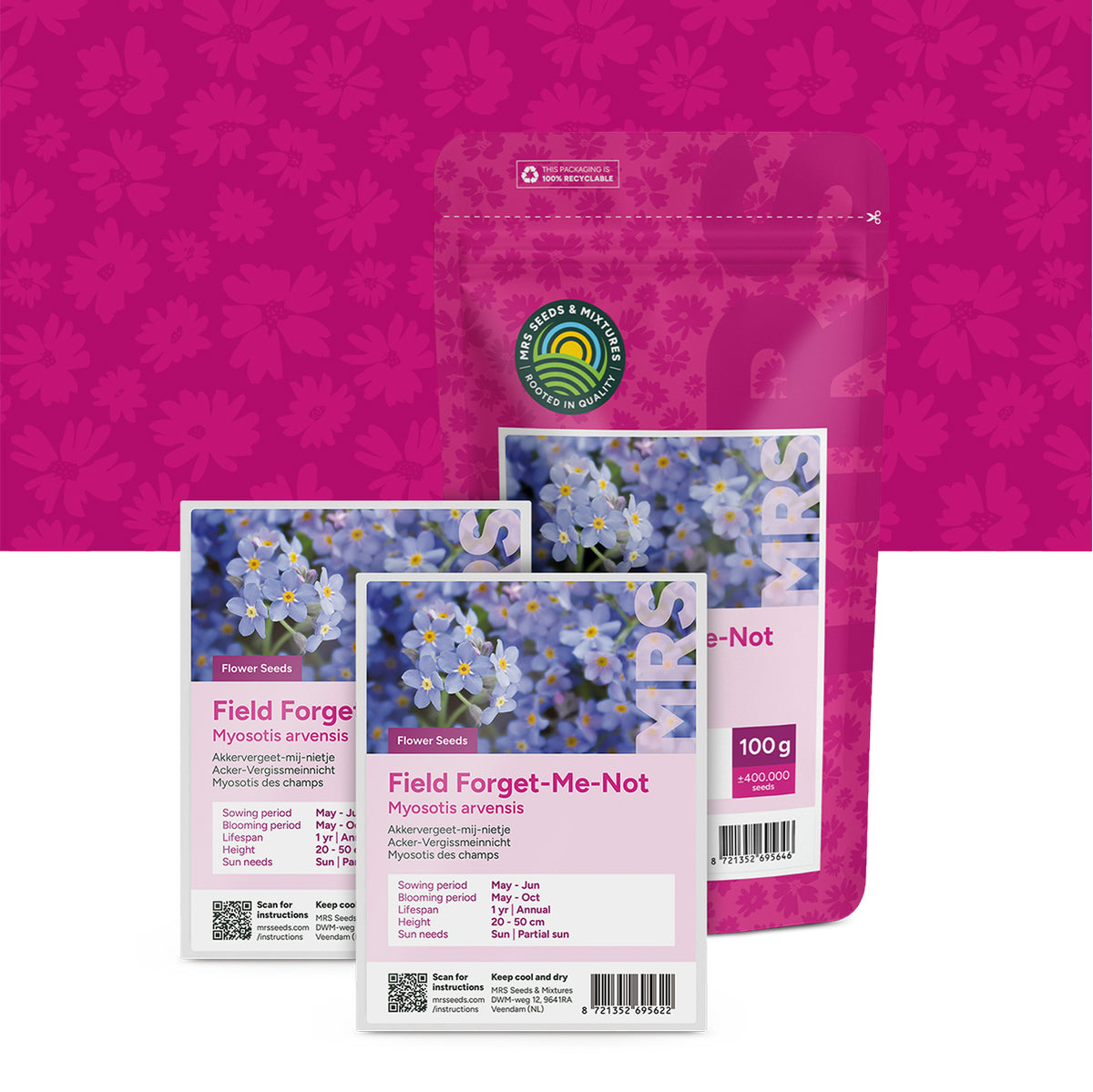Myosotis des champs – Myosotis arvensis