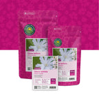 Compagnon blanc – Silene latifolia