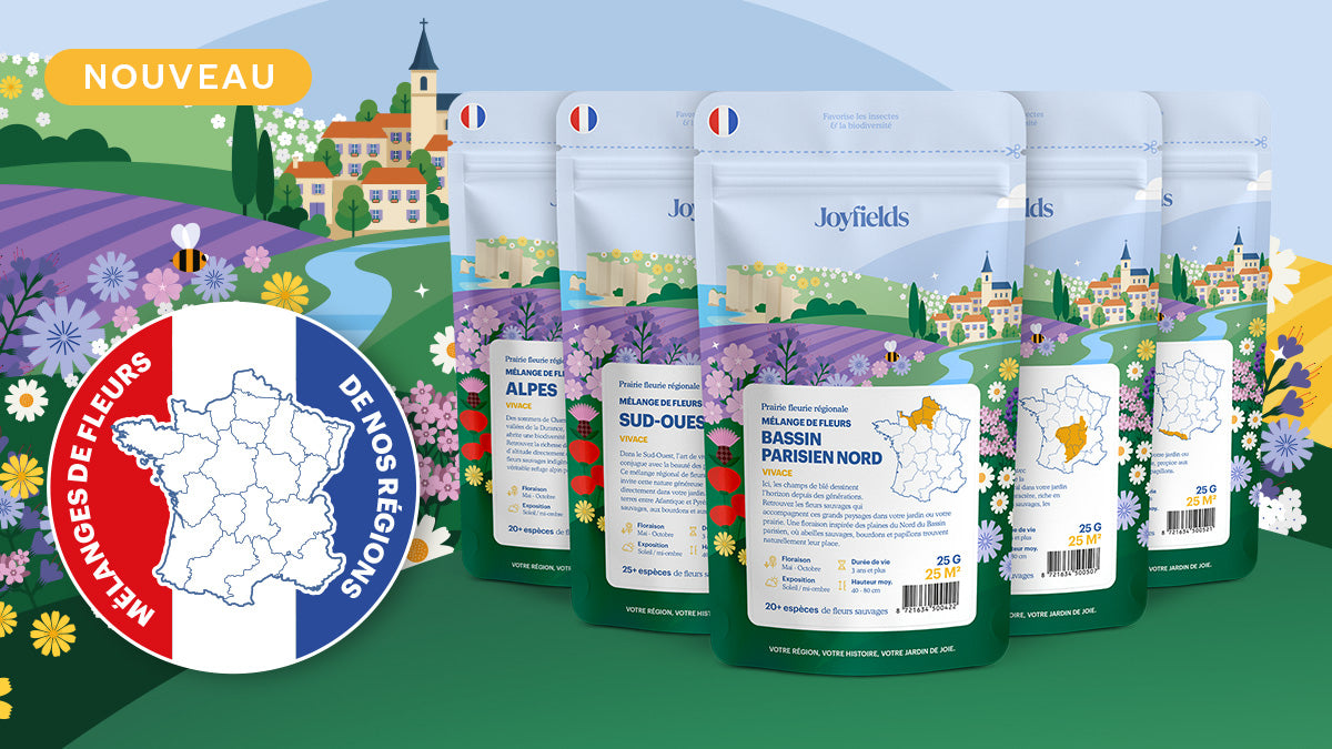 Mélanges de fleurs sauvages de votre région