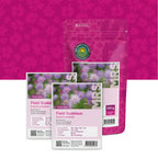Knautie des champs – Knautia arvensis