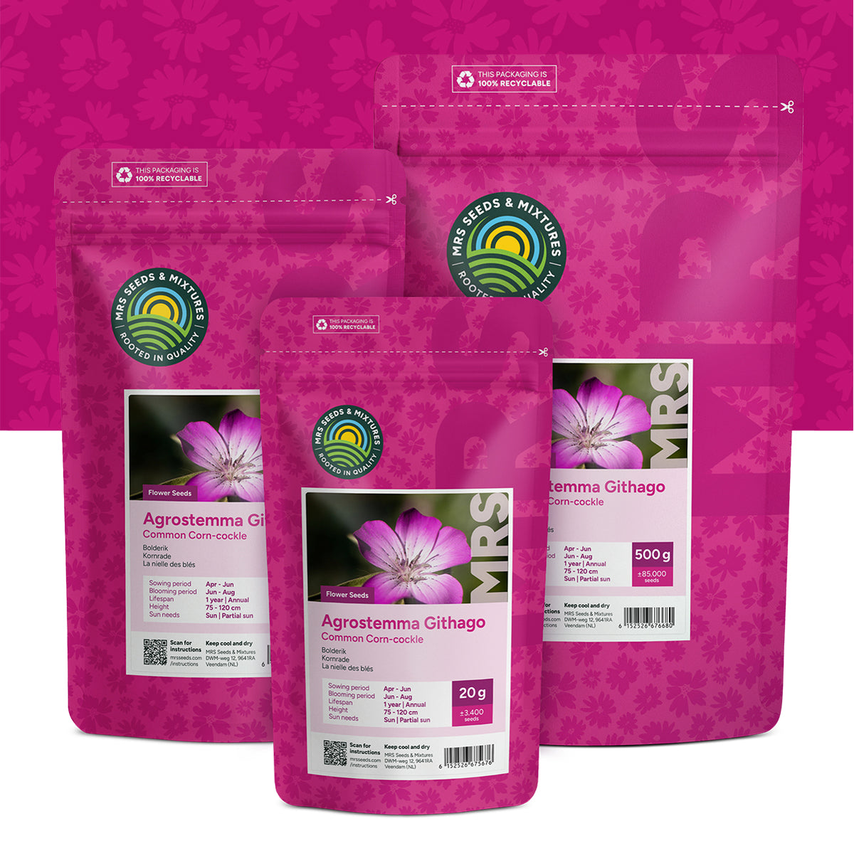 Nielle des blés – Agrostemma Githago Milas