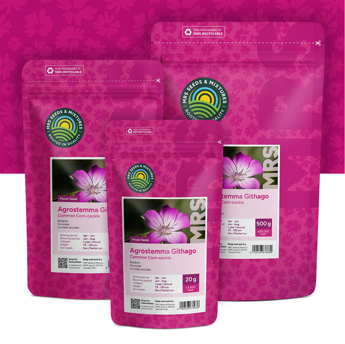 Nielle des blés – Agrostemma Githago Milas
