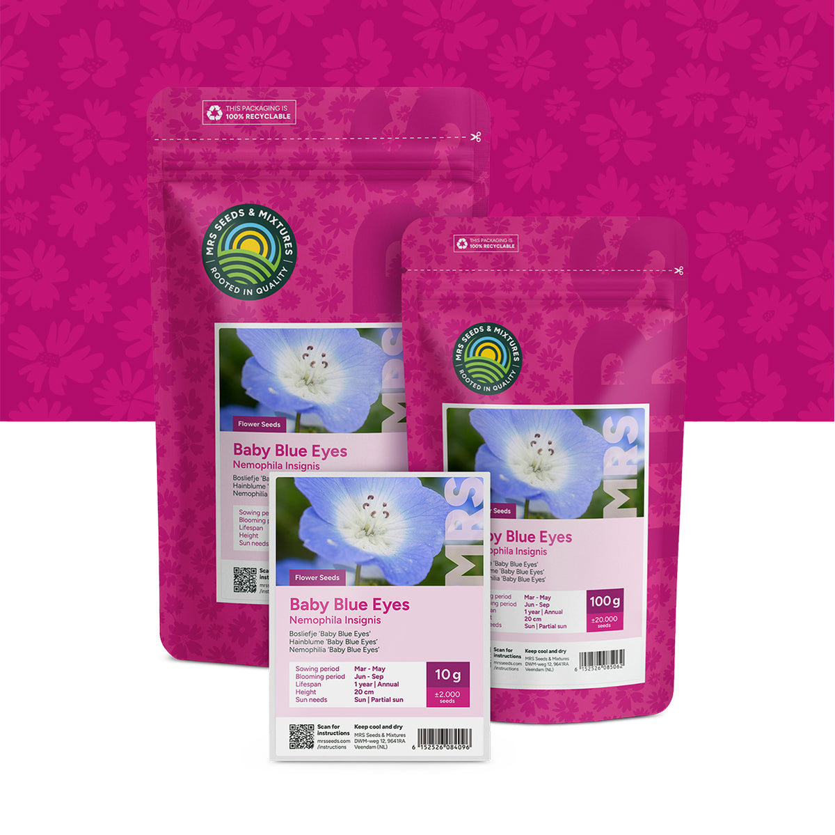 Nemophila 'Baby Blue Eyes' – Nemophila insignis