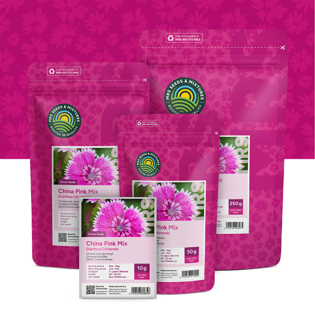 Œillet Chinois mélangé – Dianthus chinensis