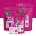 Œillet Chinois mélangé – Dianthus chinensis