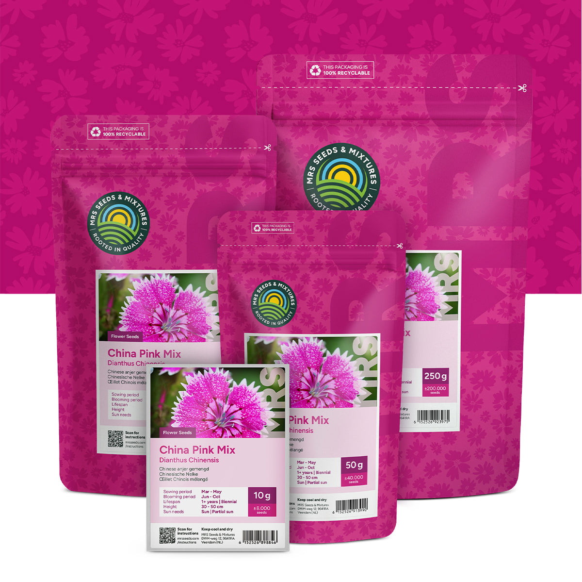 Œillet Chinois mélangé – Dianthus chinensis