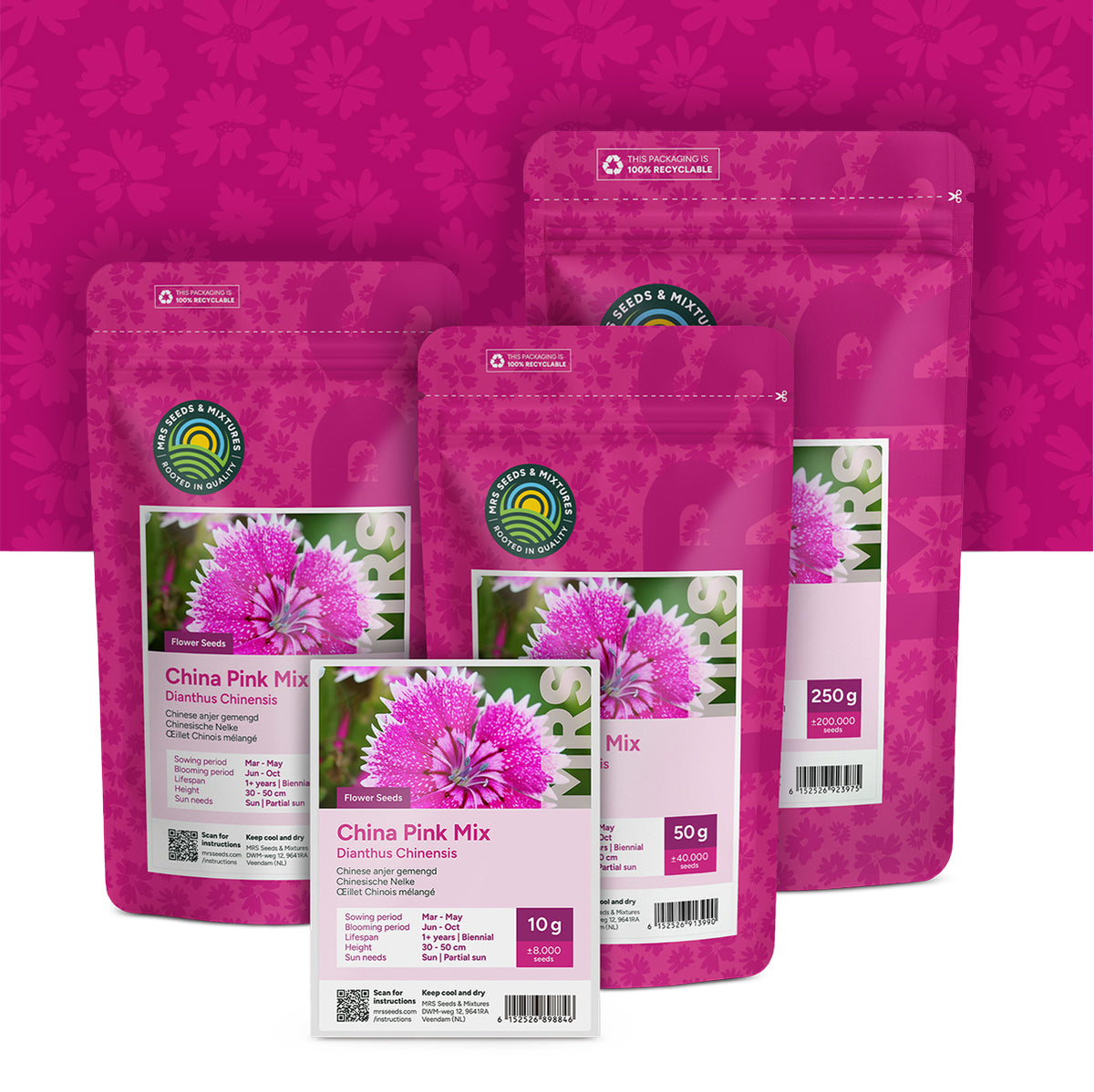 Œillet Chinois mélangé – Dianthus chinensis