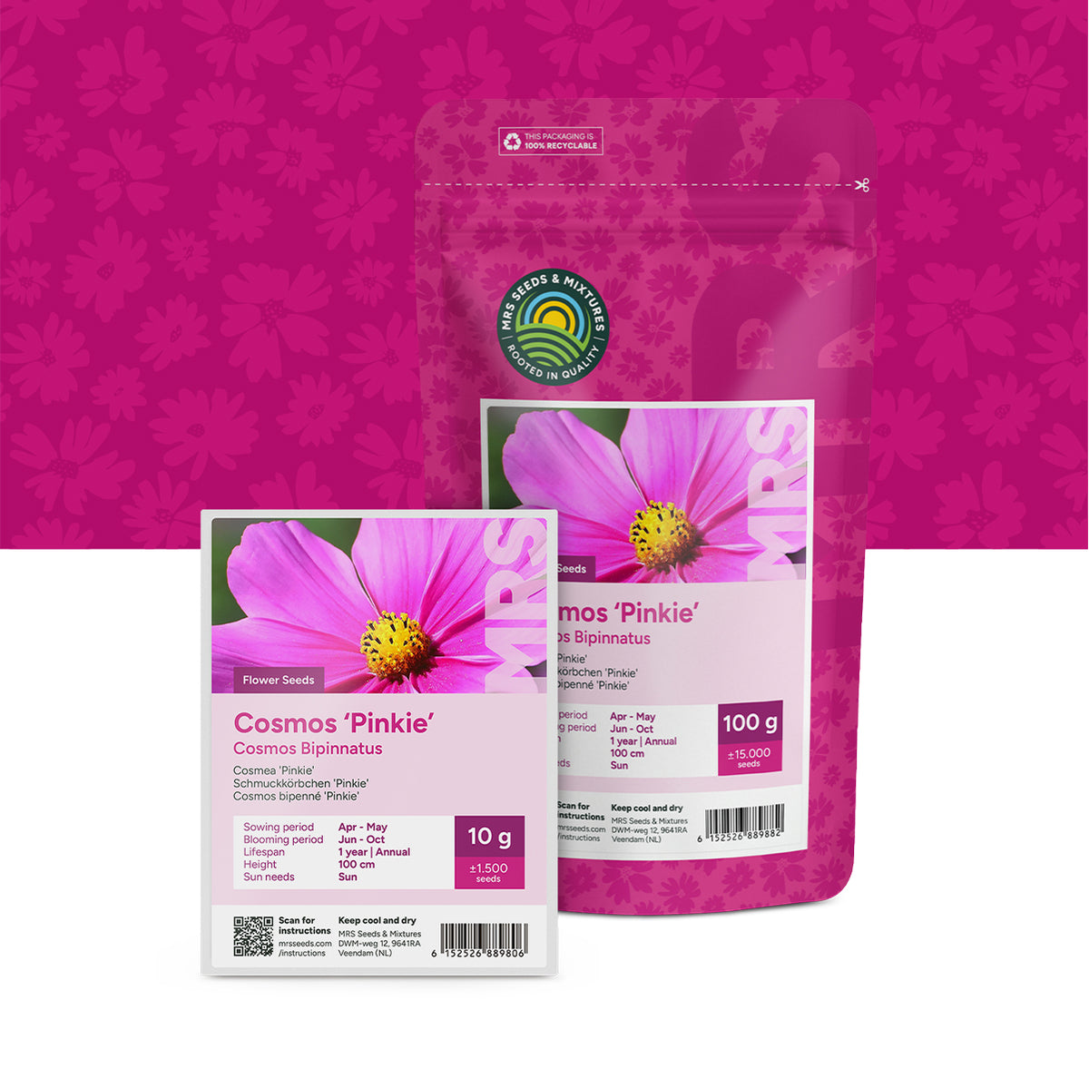 Cosmos bipenné 'Pinkie'