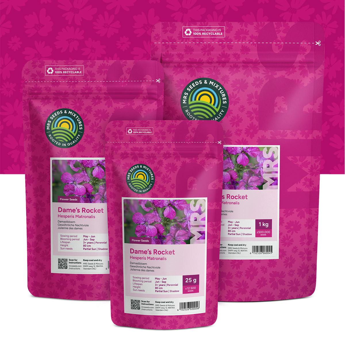 Julienne des dames – Hesperis matronalis