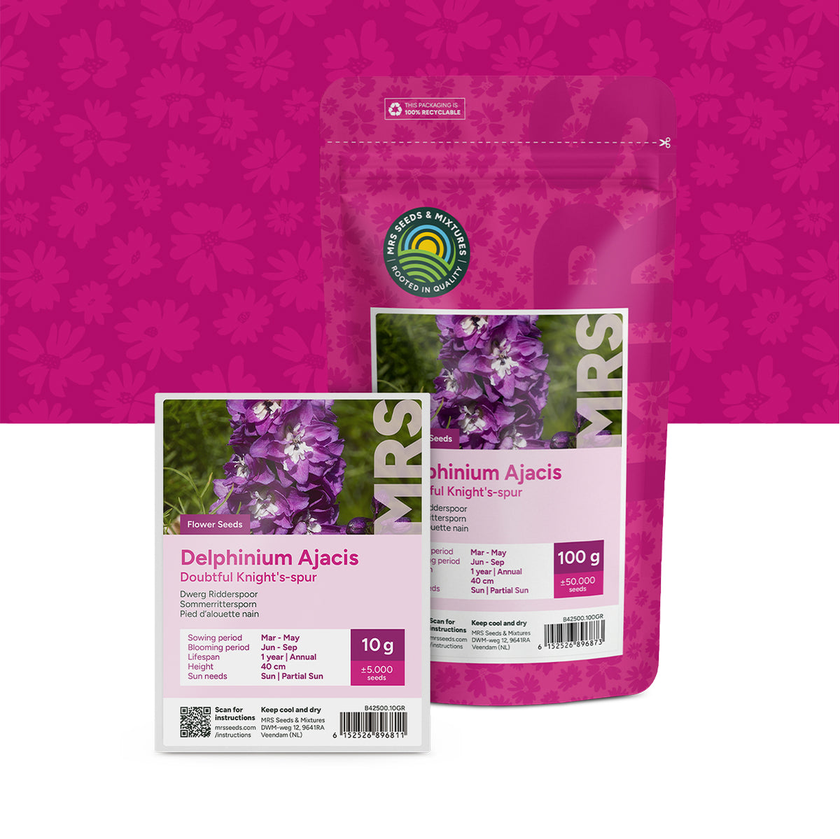 Pied d'alouette nain – Delphinium ajacis