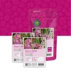 Lychnis fleur de coucou – Silene flos-cuculi