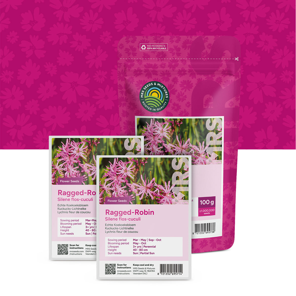 Lychnis fleur de coucou – Silene flos-cuculi