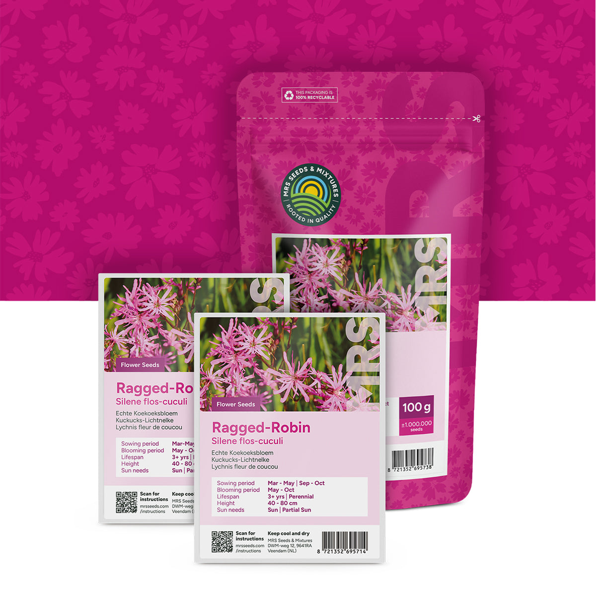Lychnis fleur de coucou – Silene flos-cuculi