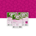 Valériane officinale – Valeriana officinalis