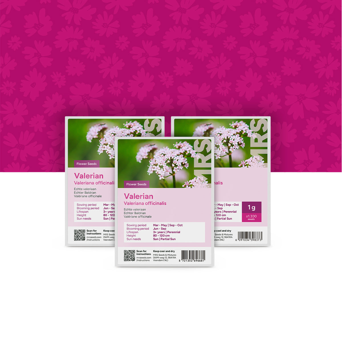 Valériane officinale – Valeriana officinalis