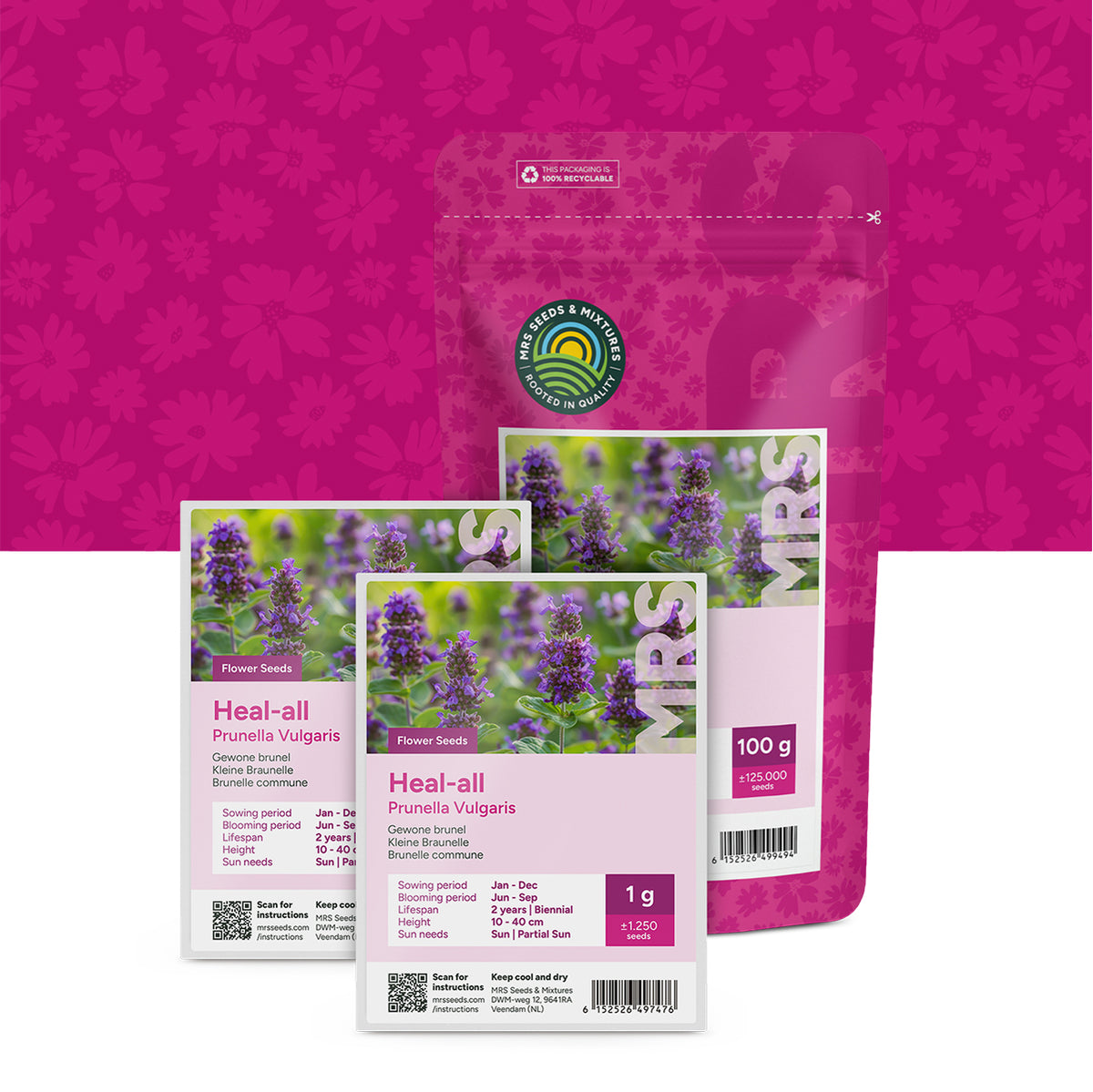 Brunelle commune – Prunella vulgaris